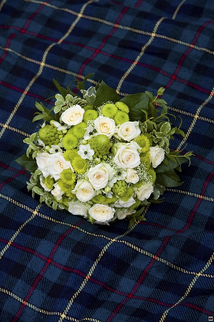 img00049.jpg