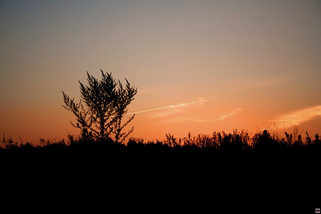 img00017.jpg