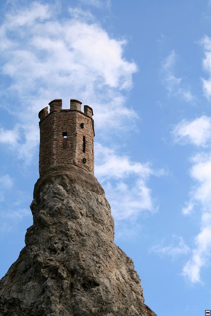img00019.jpg
