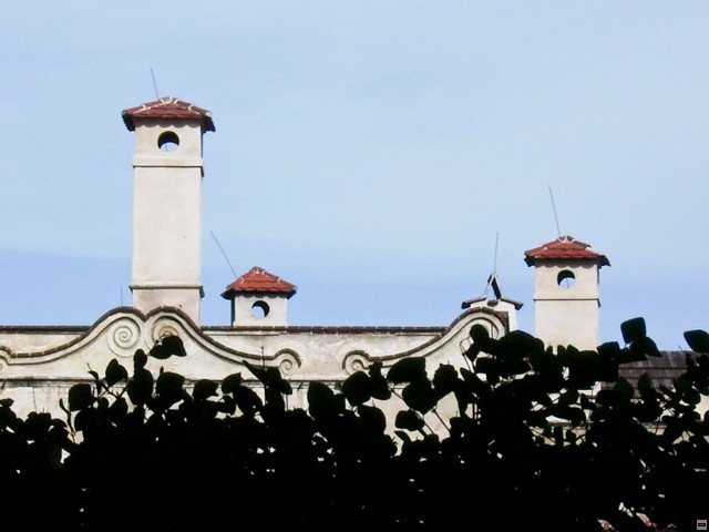 img00069.jpg